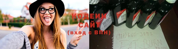 шишки Беломорск