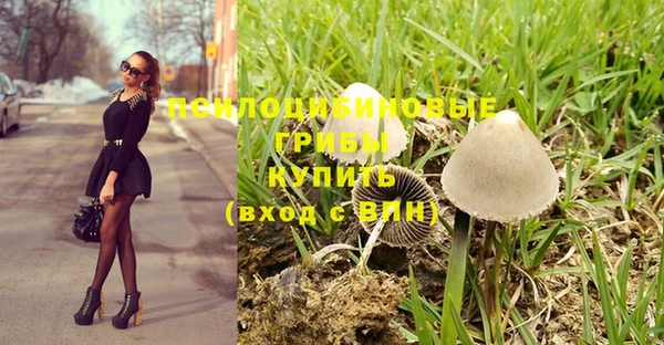 мдпв Богородск