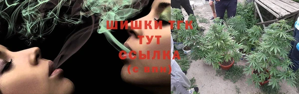 метадон Богданович